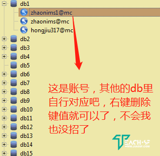 jiaosf.jpg