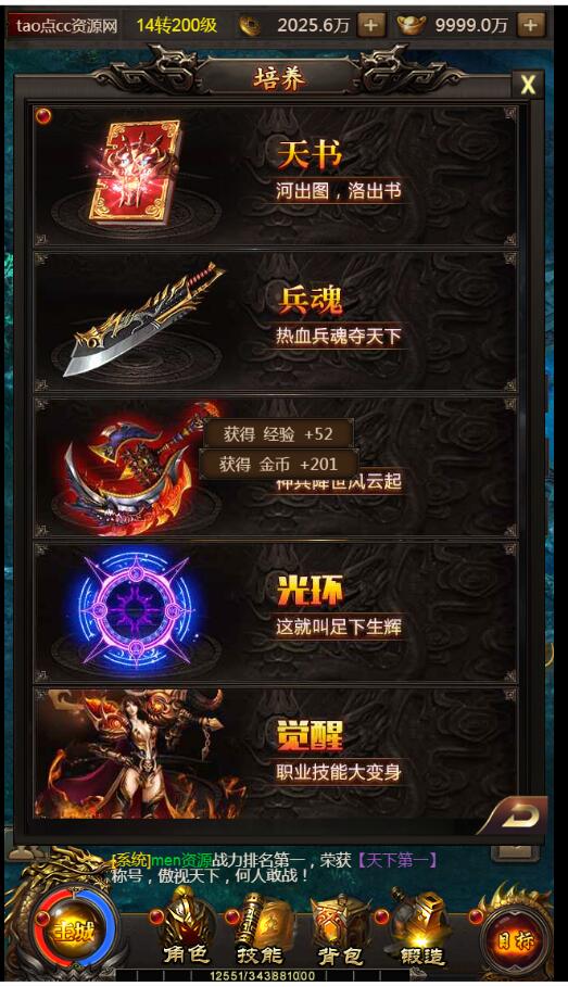21.3.jpg