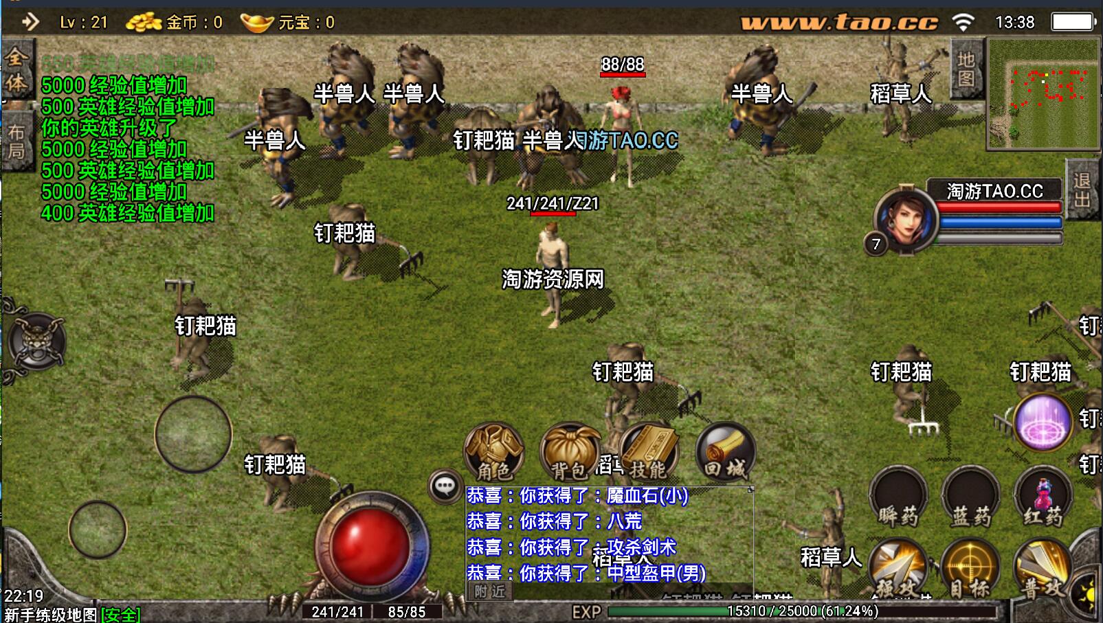 5.jpg