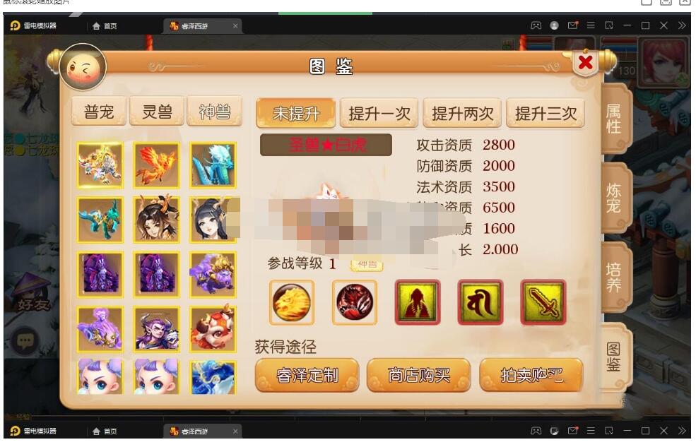 100.jpg