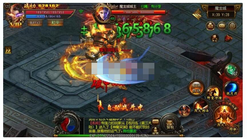 4.jpg